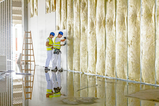 Types of Insulation We Offer in CO